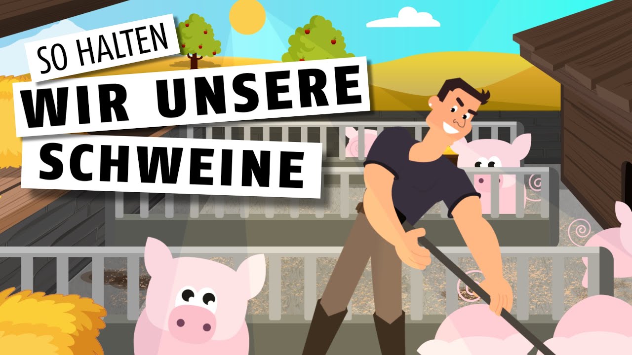 So halten wir unsere Schweine 🐖